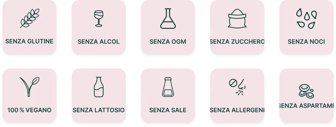 Icone che indicano gli alimenti: senza glutine, senza alcol, senza OGM, senza zucchero, senza frutta a guscio, vegano, senza lattosio, senza sale, senza allergeni e senza aspartame.