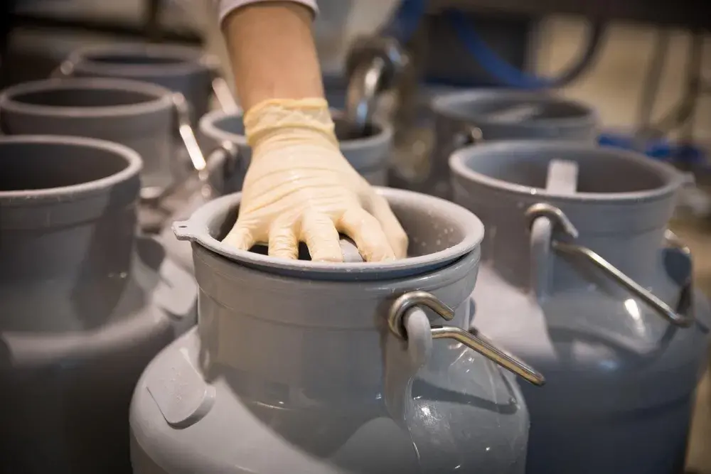 молочні продукти та здоров'я