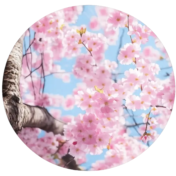 prirodni doplnky stravy